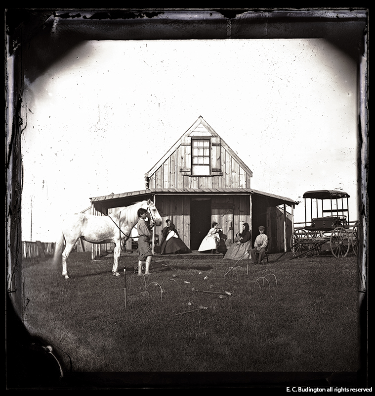Horse and Cabin, Croppped